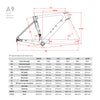 ICAN A9 Carbon Road Disc Bike Frameset Geometry